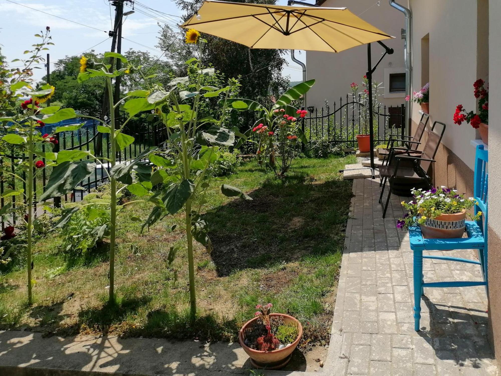 Mi Casa Vendeghaz - Apartments Eger Buitenkant foto