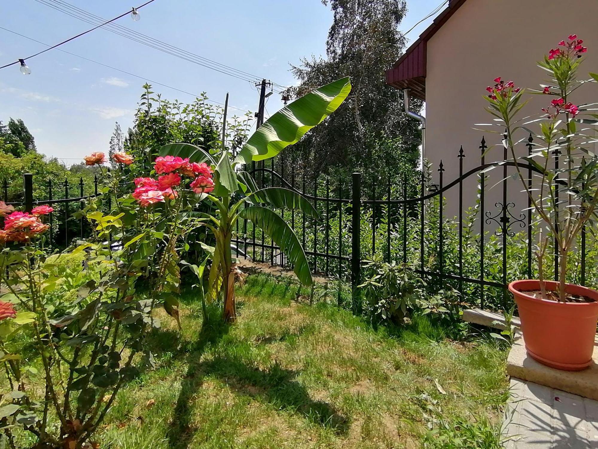 Mi Casa Vendeghaz - Apartments Eger Buitenkant foto