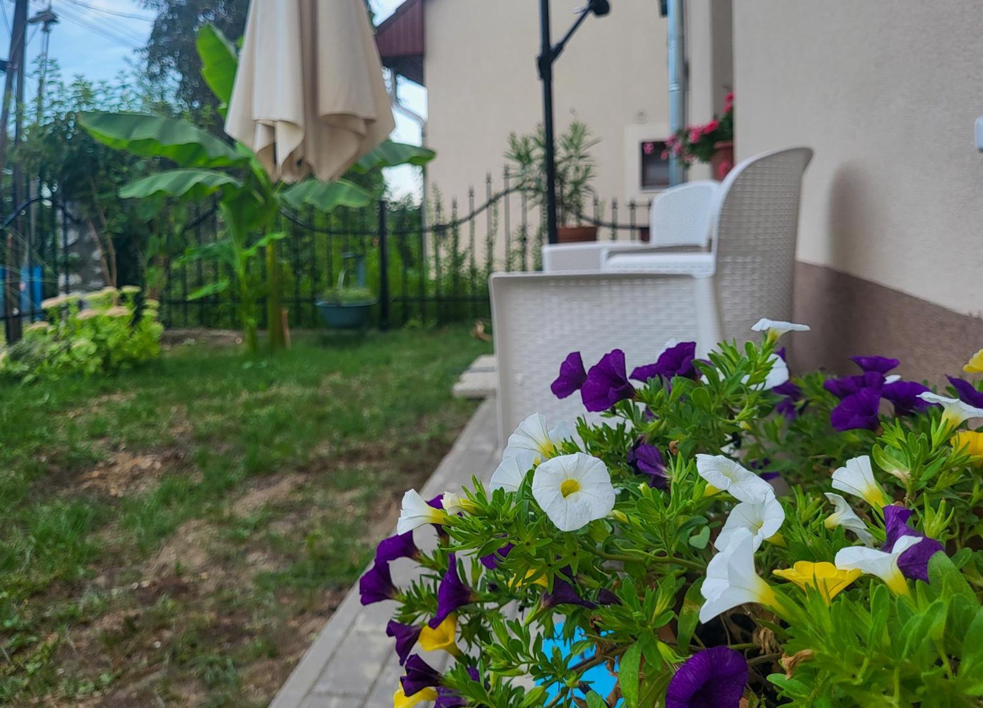 Mi Casa Vendeghaz - Apartments Eger Buitenkant foto